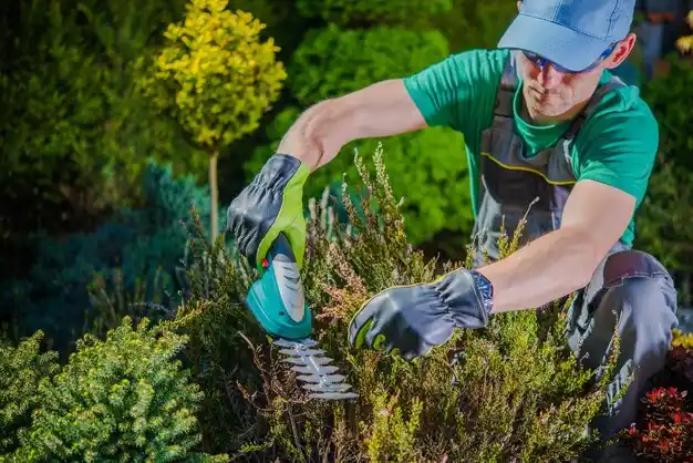 landscaping services Dry Prong
